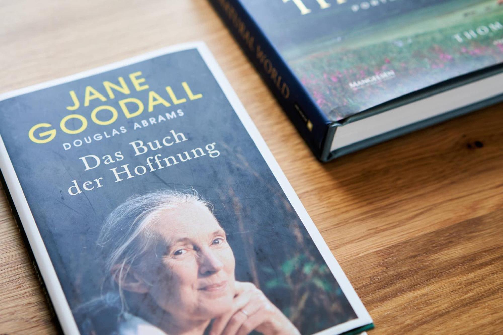 Alte Seifensiederei - Jane Hotel Bad Tölz Eksteriør billede